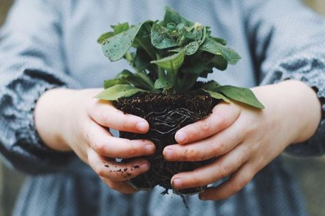 Eco-Friendly Beginnings: Sustainable Choices for Your Baby